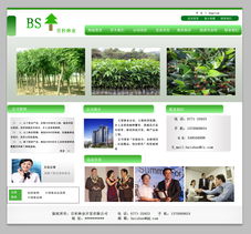 “绿水青山”林业开发网站页面设计与开发实战指南